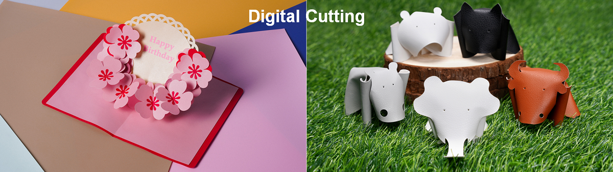 H2 Laser Upgrade Kit / Laser Module